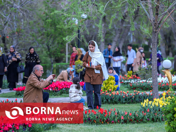 جشنواره گل‌های لاله در اراک