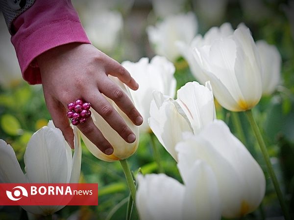 باغ ایرانی