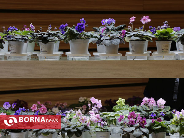 شانزدهمین نمایشگاه بین المللی گل و گیاه تهران