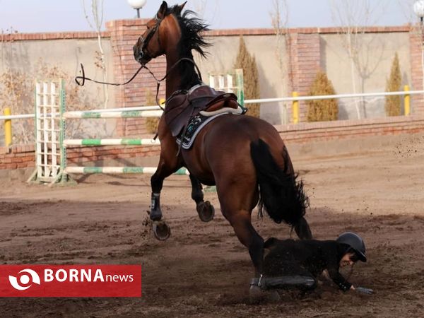 مسابقات پرش با اسب استان کرمان