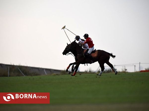 ،مسابقات چوگان جام هفته دفاع