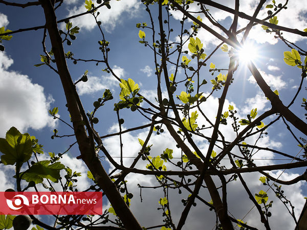 کلیسای حضرت مریم