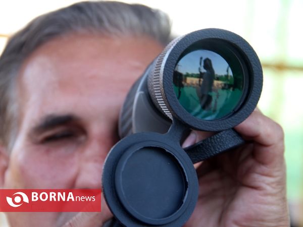 مسابقات تیراندازی با کمان استان فارس