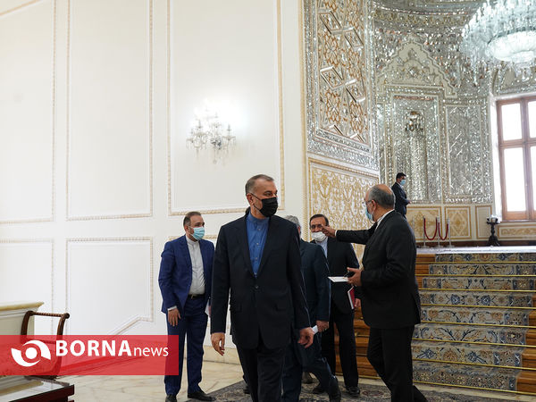 دیدار وزیر فرهنگ غنا با امير عبداللهيان