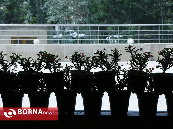 شانزدهمین نمایشگاه بین المللی گل و گیاه تهران