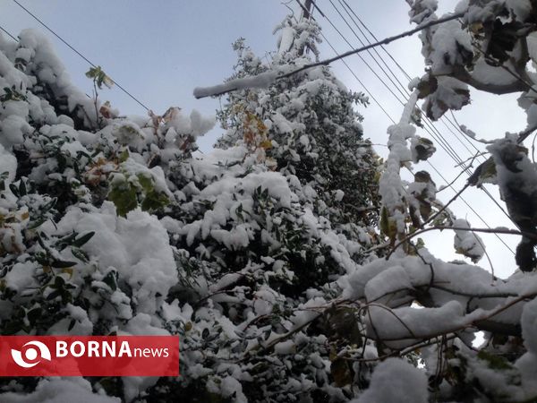 بارش نخستین برف پاییزی در تهران