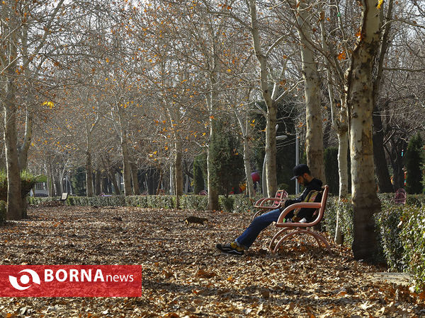 روزهای پایانی پاییز در پارک لاله