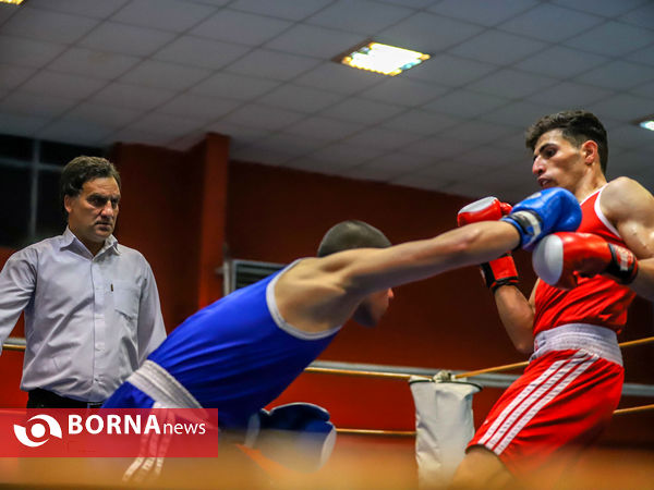 مسابقات بوکس قهرمانی بزرگسالان استان مرکزی