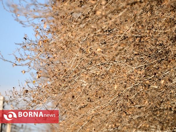 آخرین لحظات پاییزی