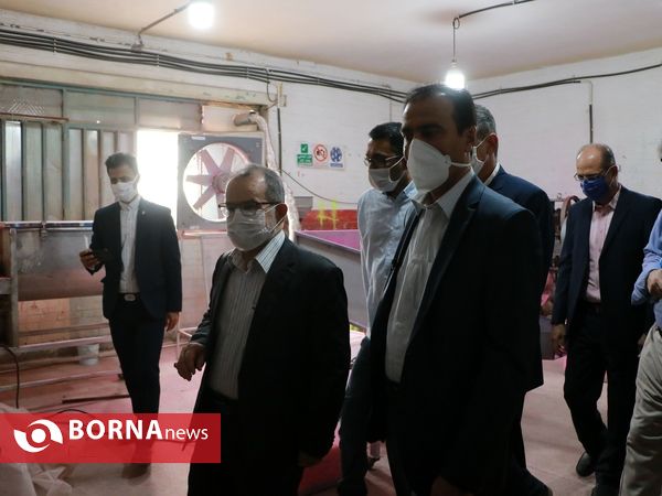 جهش تولید در سرزمین فتح - ۶