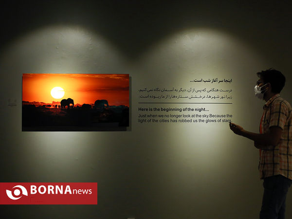 نمایشگاه عکاسی "شب پیداست"