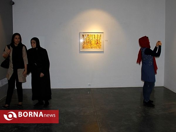 نمایشگاه نقاشی مریم حیدرزاده