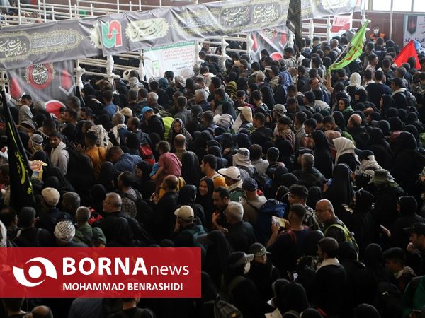 دلدادگان حسینی مرز شلمچه