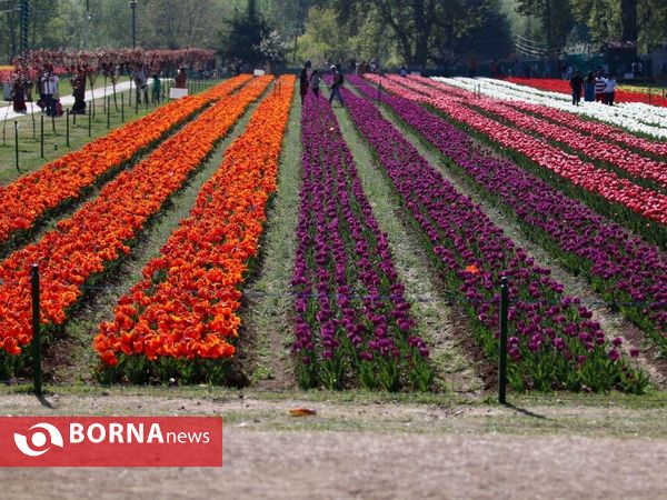 باغ لاله یادبود ایندریا گاندی