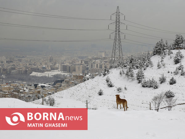 بارش برف در تهران