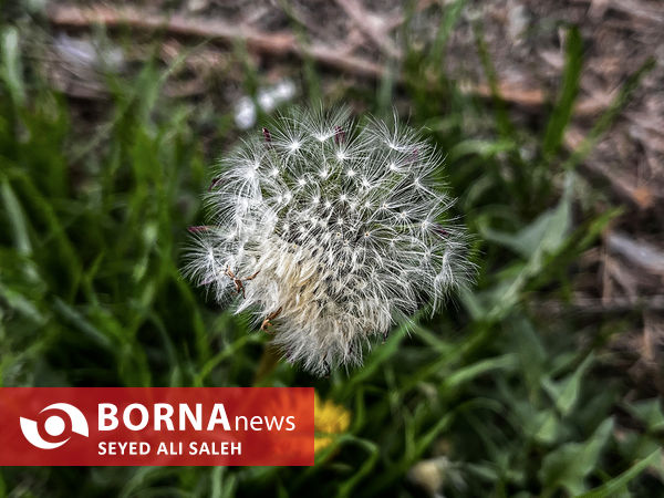نخستین روز بهار ۱۴۰۲