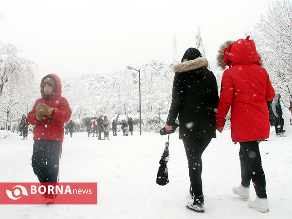 بارش برف در تهران