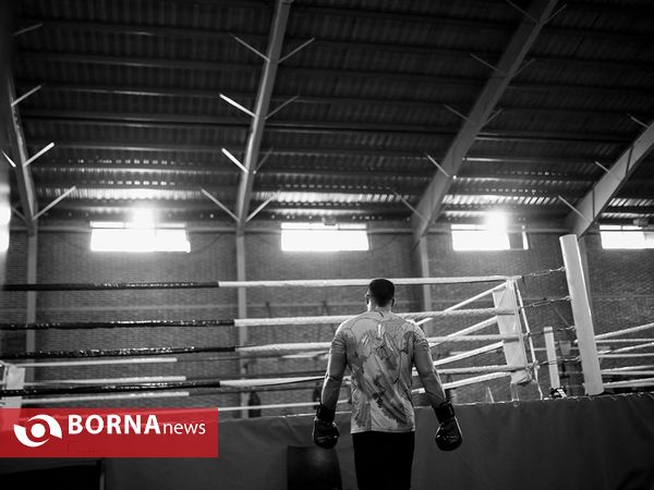 امیر علی اکبری قهرمان رشته MMA