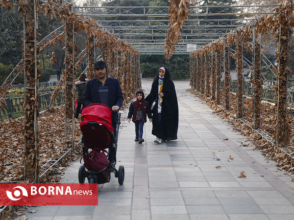 واپسین روزهای پاییزی تهران