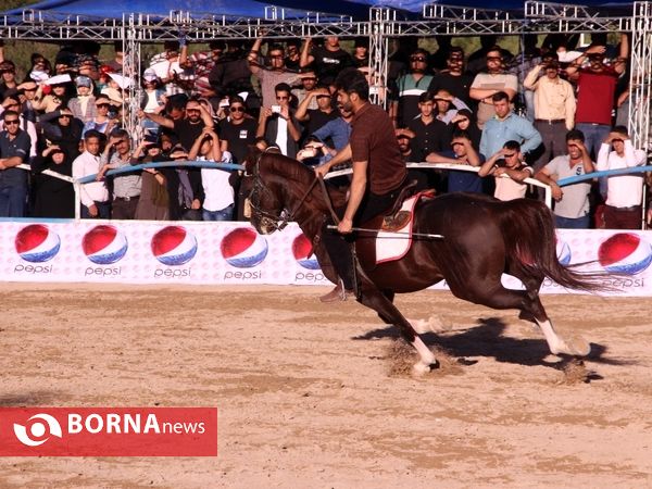 جشنواره زیبایی ملی اسب فلات ایران-شیراز