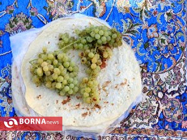 برداشت انگور در روستای غزاویه شهرستان کارون