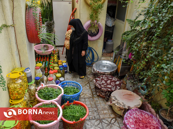 ماه منیر بانوی موفق کارآفرین