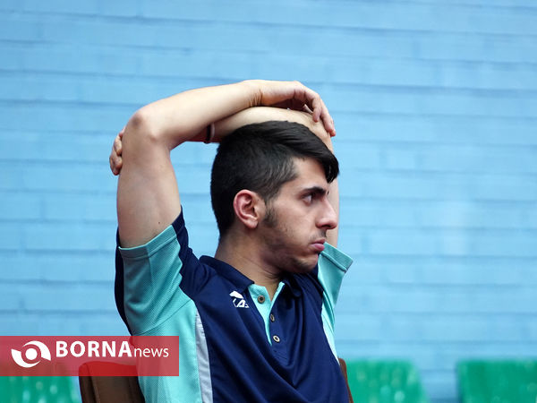 مسابقات  لیگ برتر بزرگسالان تنیس روی میز