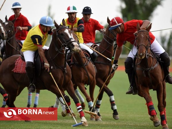 ،مسابقات چوگان جام هفته دفاع