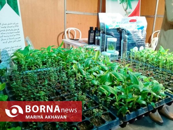 افتتاح نخستین نمایشگاه خدمات کسب و کار دانش بنیان گیلان