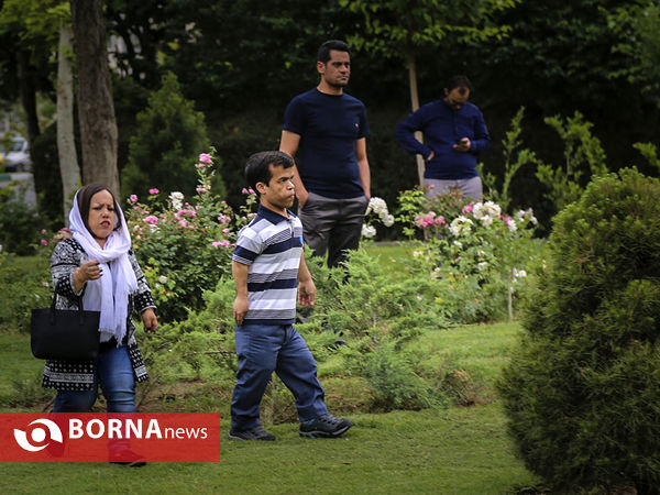 افتتاح انجمن کوتاه قامتان بلند همت