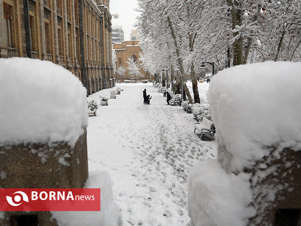 بارش برف در تهران -2