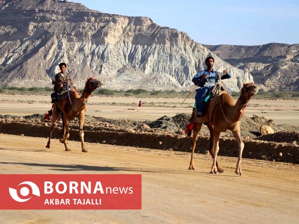 مسابقات شتر دوانی در چابهار 