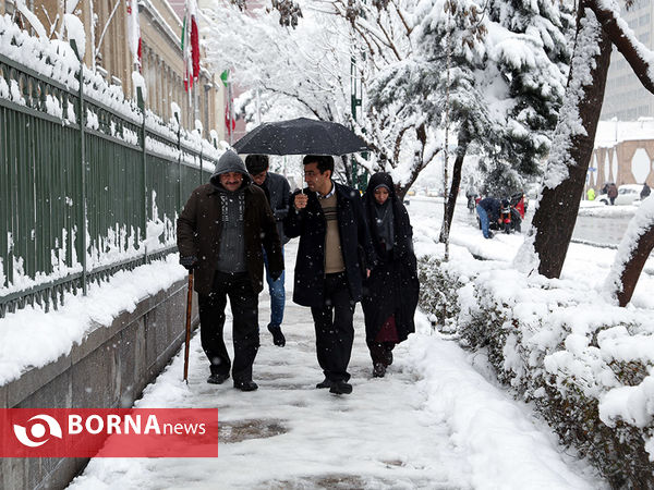 بارش برف در تهران -2