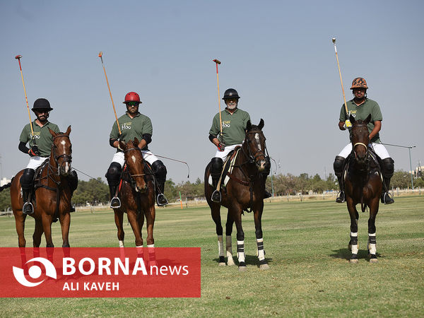 لیگ  ملی چوگان