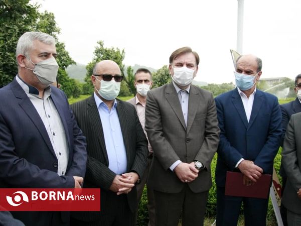 برداشت نخستین برگ چای در سال ۱۴۰۰