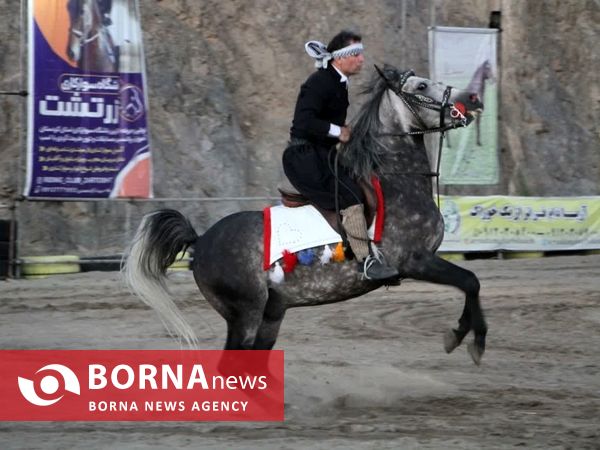 اولین جشنواره شو اسب سواری جام شیهه