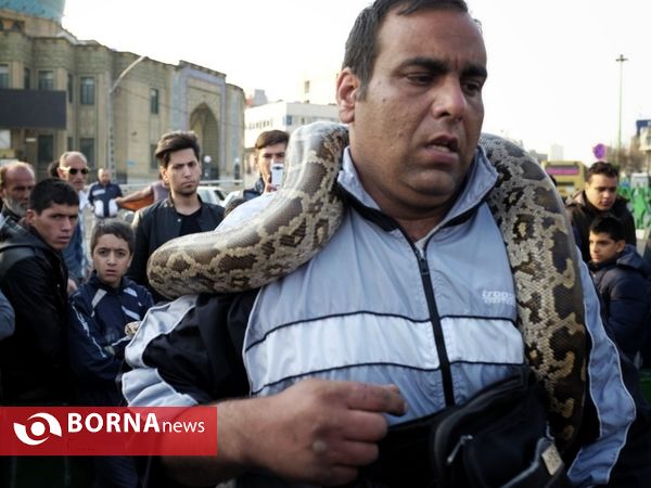 پهلوان اکبر