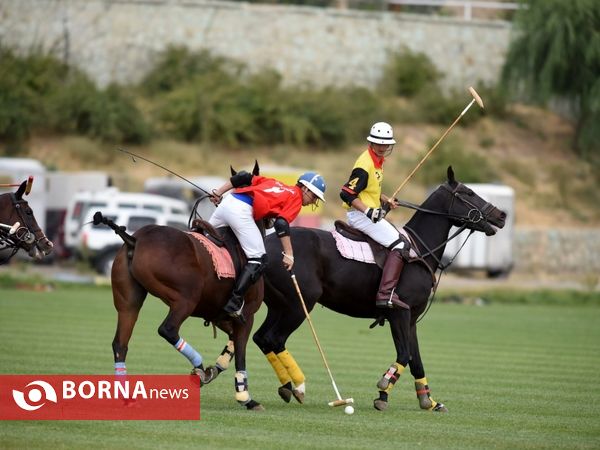 ،مسابقات چوگان جام هفته دفاع