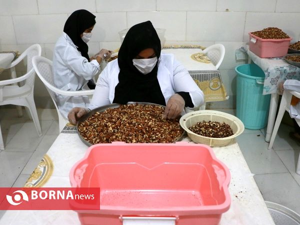 جهش تولید در سرزمین فتح - ۲
