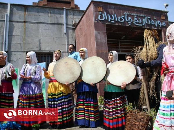 جشنواره نوروزی موزه تاریخ چای ایران