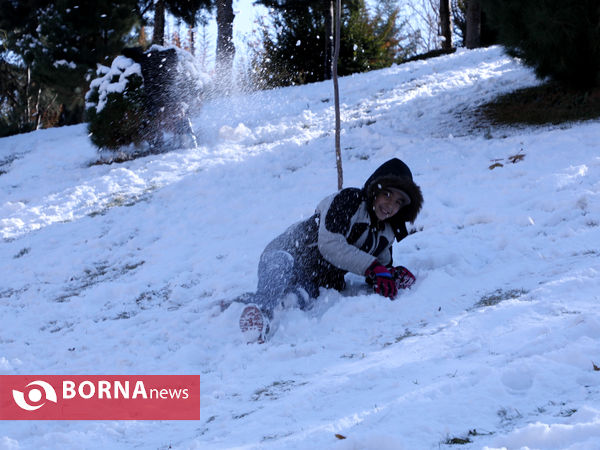 بارش اولین برف پاییزی در تهران