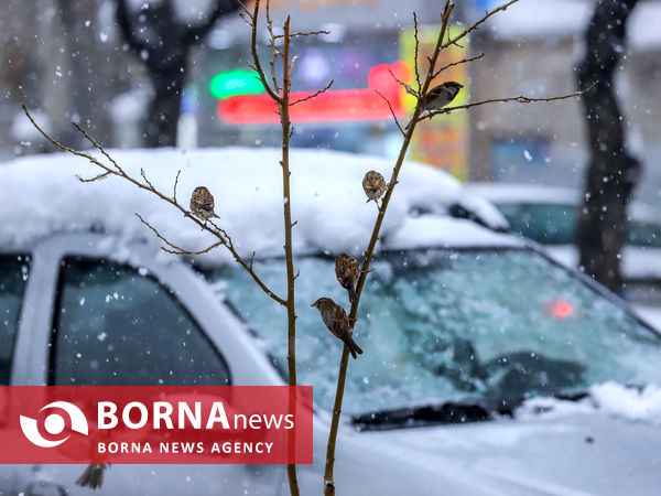 بارش شدید برف در اراک