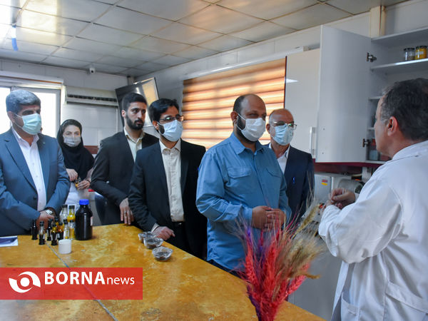 سفر معاون وزیر تعاون به استان مرکزی