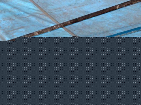 مراسم بزرگداشت جهان پهلوان تختی- ری