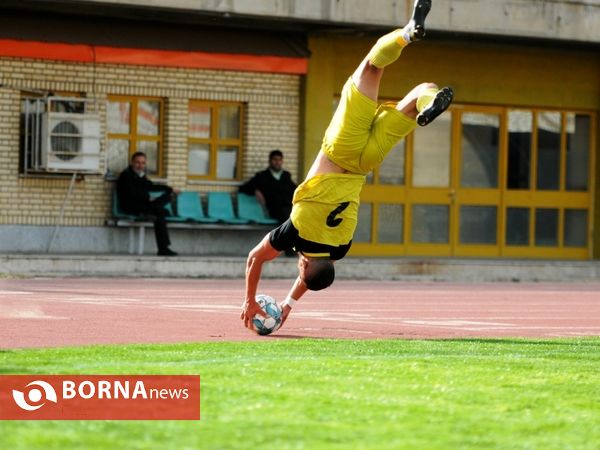 گل ریحان البرز - نود ارومیه