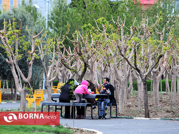 13 فروردین روز طبیعت- شهر قدس