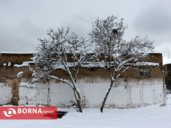 مشهد زیر چتر برف
