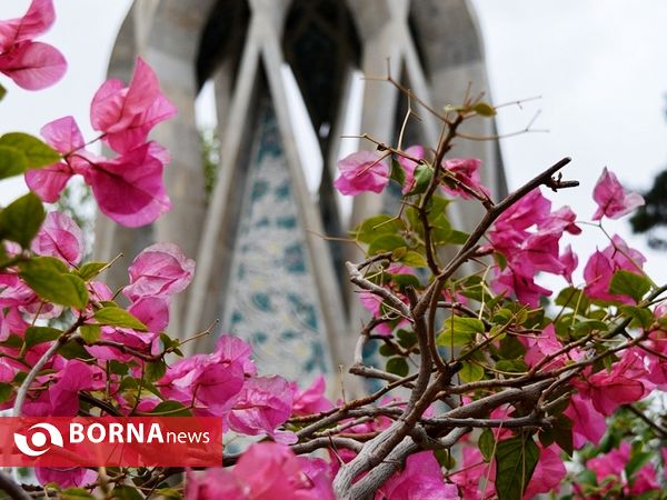 خیام؛ رباعی سرای اردیبهشت