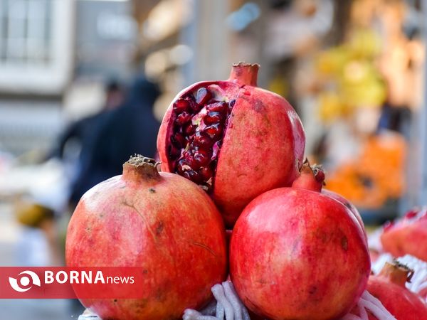 شور  یلدای در آخرین ایستگاه  پاییز