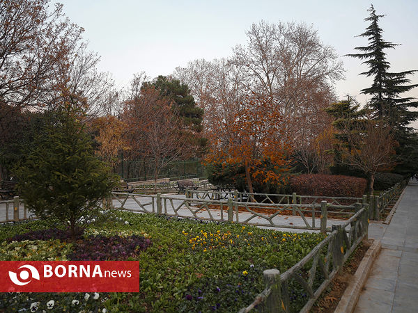 واپسین روزهای پاییزی تهران